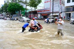 Triều cường tại Cần Thơ bất ngờ vượt báo động III sớm hơn dự báo