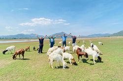 Tân Sơn xanh miền thương nhớ