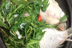 Mát lành cá diếc rau răm