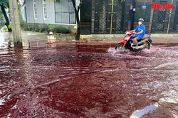 TP Hồ Chí Minh: Xuất hiện màu nước lạ bất thường sau mưa lớn