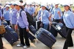 8 doanh nghiệp được cấp phép đưa lao động đi làm việc tại châu Phi