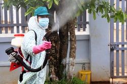 Quảng Nam ghi nhận ca sốt xuất huyết đầu tiên tử vong