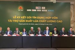 7 ngân hàng lớn cho Lộc Trời vay 100 triệu USD