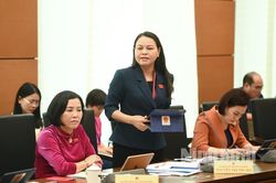 Kỳ họp thứ 4, Quốc hội khóa XV: Đại biểu Quốc hội tỉnh tham gia thảo luận ở tổ về một số dự án luật, nghị quyết
