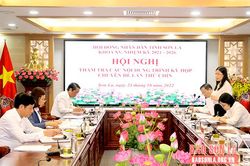 Thẩm tra các nội dung trình Kỳ họp chuyên đề lần thứ chín, HĐND tỉnh