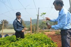 HTX trong xây dựng nông thôn mới gắn với tái cơ cấu nông nghiệp
