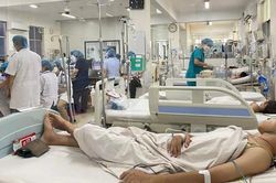 Cảnh báo dịch sốt xuất huyết bùng phát vào tháng 11,12