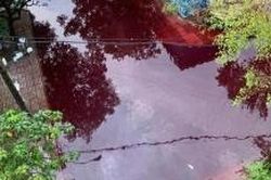 TP. Hồ Chí Minh: Nước màu đỏ gây ngập khu dân cư