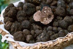 Sản vật mang hình thù xấu xí nhưng lại là 'kim cương' trong giới ẩm thực