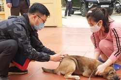 Cảnh báo của chuyên gia từ trường hợp tử vong do giết mổ chó