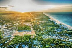 Quảng Bình: Hơn 12ha rừng phòng hộ ven biển bị chặt phá nghiêm trọng