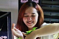 Những 'chiếc lá' tiền triệu khiến người trẻ mê mẩn