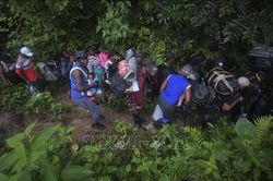 Số người di cư vượt biên vào Panama giảm mạnh