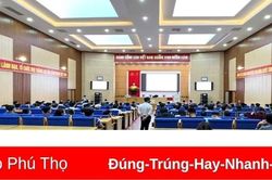 Chấm dứt hợp đồng đấu giá đất tại huyện Tam Nông và Tân Sơn