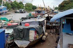 Hải Phòng ra hạn chót di dời hơn 40 hộ dân xóm chài sông Tam Bạc