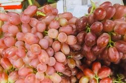 Nho sữa Trung Quốc giá siêu rẻ tràn ngập các chợ