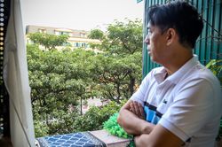 Hàng cây hoa sữa trước đề xuất di dời vì mùi hương đậm đặc