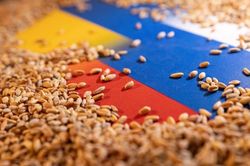 Nga nói chỉ 3% lương thực xuất khẩu của Ukraine đến các nước nghèo, số còn lại 'về tay' ai?
