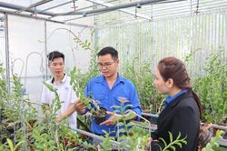 Lâm Đồng: Thanh niên được vay vốn khởi nghiệp tối đa 2 tỷ đồng