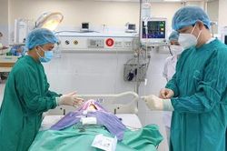 Người đàn ông Hòa Bình nhập viện khi đã ngừng thở, ngừng tim vì nhiễm loại vi khuẩn 'tử thần'