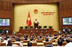 Đại biểu Quốc hội: Cần làm rõ xăng dầu 'thiếu thật' hay 'thiếu giả'
