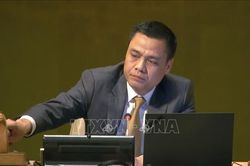 Việt Nam cùng các nước đề xuất xin ý kiến Tòa án Công lý quốc tế về biến đổi khí hậu