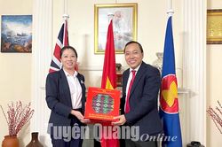 Đoàn công tác tỉnh Tuyên Quang thăm và làm việc với Đại sứ quán Việt Nam tại Liên hiệp Vương quốc Anh và Bắc Ai-len