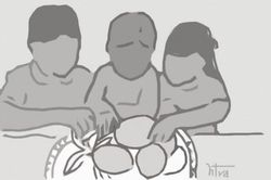 Đời sống Những mặt trời lekima