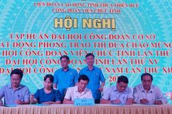 Chính trị - Xã hội Chính trị - Xã hội Tập huấn công tác tổ chức đại hội công đoàn cơ sở