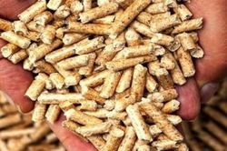 Viên nén gỗ của Việt Nam có tiềm năng lọt vào nhóm hàng có kim ngạch xuất khẩu trên 1 tỷ USD