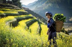 Sóng sánh mùa sang