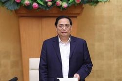 Thủ tướng: Xử lý nghiêm việc tung tin giả, phá hoại nền kinh tế
