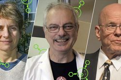 Giải Nobel Hóa học 2022: Mở ra lĩnh vực mới đầy tiềm năng