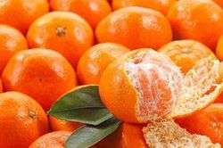 Tự làm 5 vị thuốc nam phòng chữa bệnh thường gặp