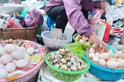 Giá hành lá tới 70.000 đồng/kg, giá trứng vịt liên tục lập đỉnh