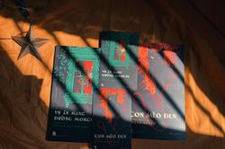 Bạo lực và rối loạn tâm trí trong sáng tác của Edgar Allan Poe