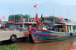 Thái Bình kêu gọi tàu, thuyền trên biển tìm nơi tránh trú bão số 7