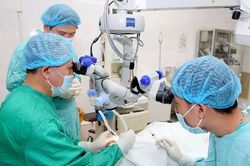 2 người mù lòa tìm lại ánh sáng nhờ giác mạc của người phụ nữ chết não