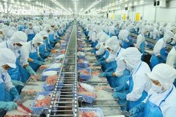 Chứng khoán hôm nay ngày 31/10: Nhận định thị trường và khuyến nghị cổ phiếu VHC
