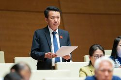 Đại biểu Quốc hội: 'Nhiều đại án làm chúng ta không khỏi giật mình vì thất thoát quá lớn'
