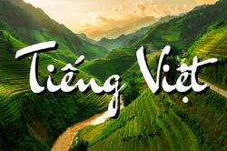 'Ngôn ngữ mạng' đang 'giết chết' dần Tiếng Việt