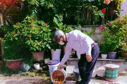Sốt xuất huyết tại Quảng Ngãi tăng 4,3 lần