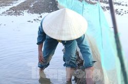 Người dân giăng lưới, đắp bờ chờ săn 'lộc trời'