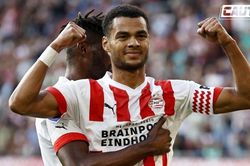 PSV ra giá bán Gakpo cho MU, không dưới 30 triệu euro