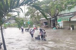 Thành phố… mùa triều dâng