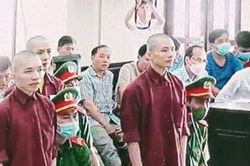 Phúc thẩm vụ Tịnh thất Bồng Lai: Bị cáo Lê Tùng Vân vắng mặt, phiên tòa vẫn tiếp tục