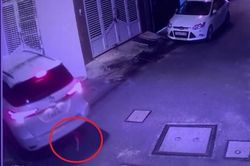 Đứng sau ô tô đang lùi, cháu bé bị cuốn vào gầm