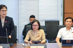 Đại biểu Quốc hội Đoàn Nghệ An: Cần cơ chế quản lý hữu hiệu các nền tảng số đa quốc gia