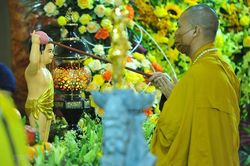 Phát động cuộc thi viết về chủ đề 'Đạo Phật trong trái tim tôi'