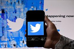 Twitter tăng phí xác nhận tài khoản